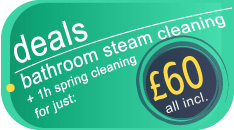 Bathroom steam cleaning for just £60.00